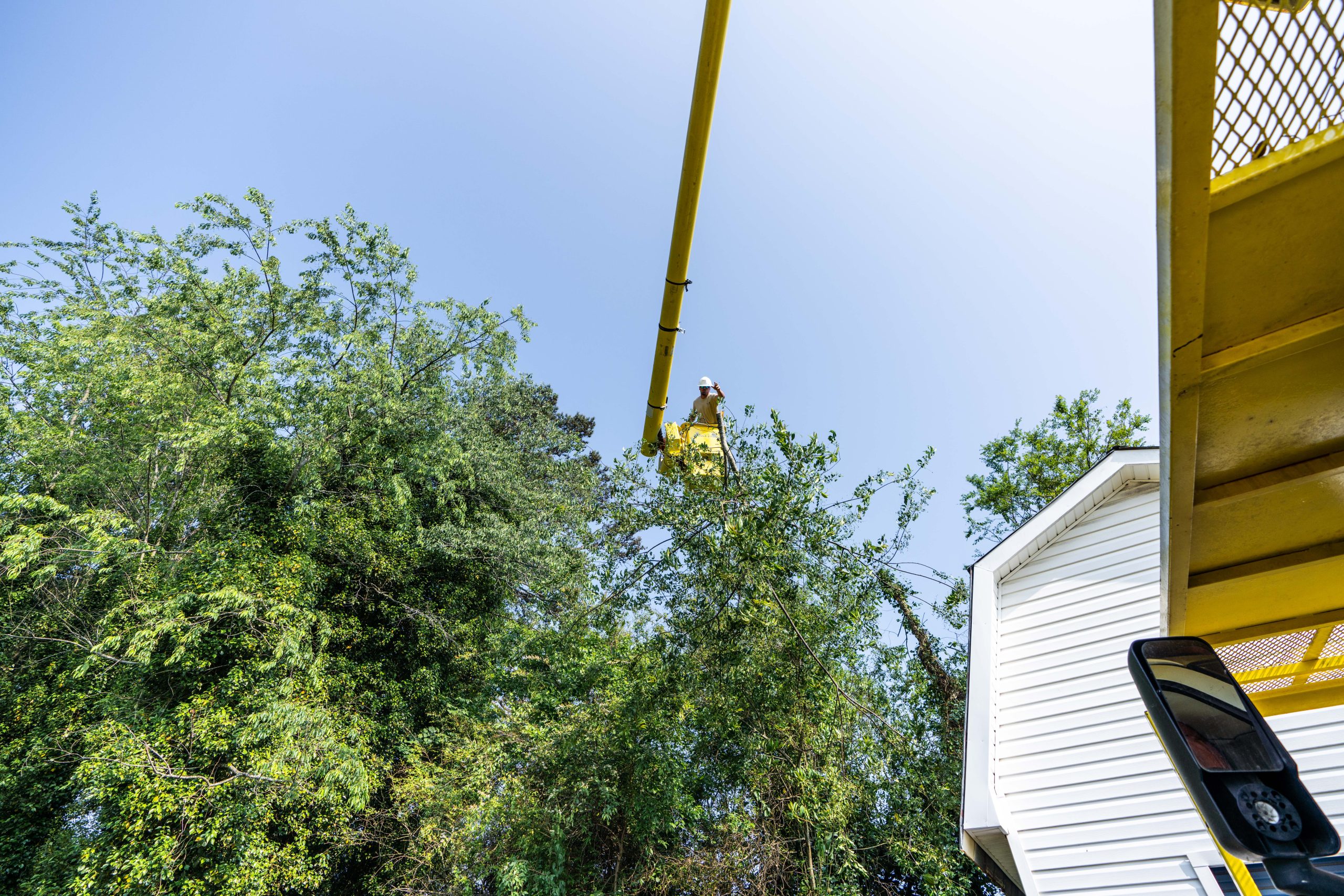 BuckTom Services, LLC – Lawns, Landscaping, Trees & More - dsc04240 scaled