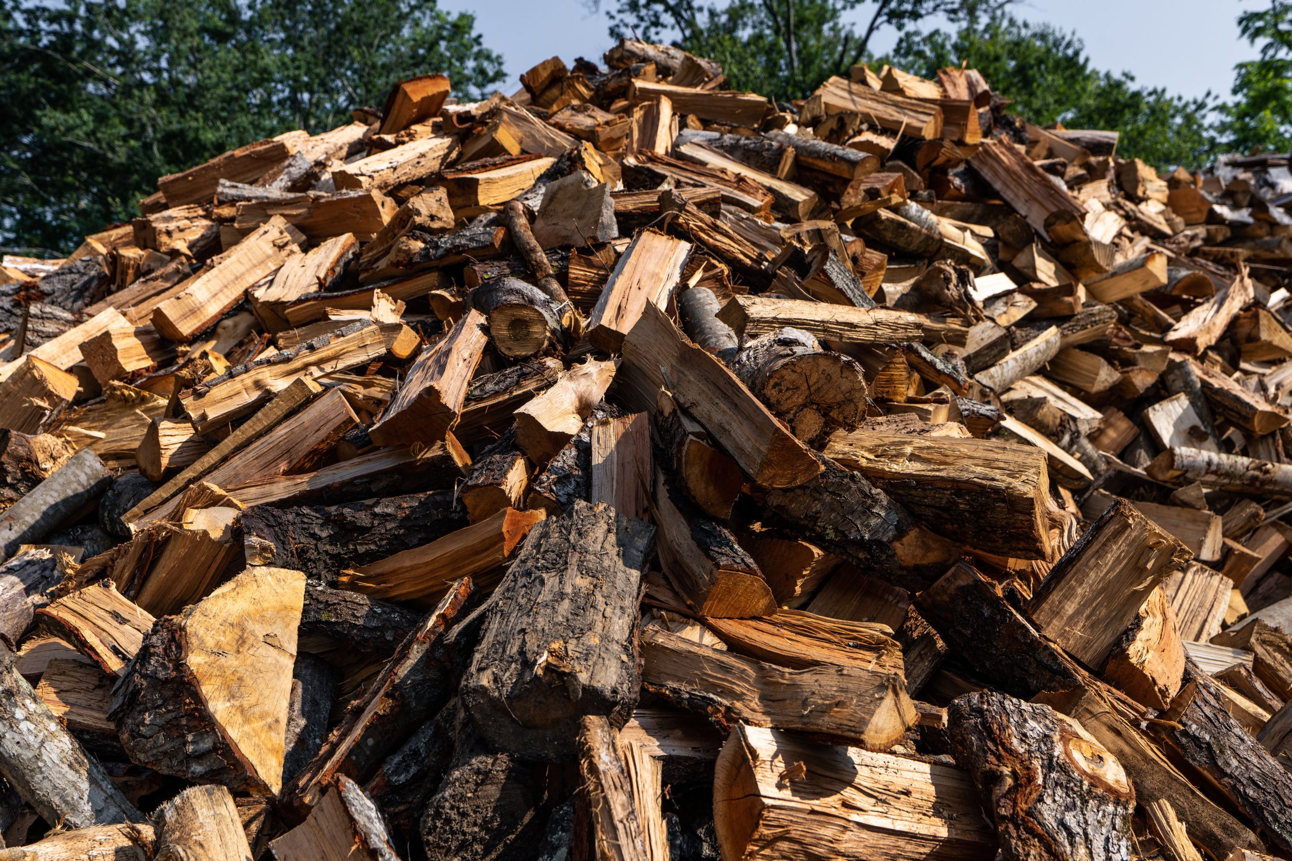 BuckTom Services, LLC – Lawns, Landscaping, Trees & More - dsc04308 scaled