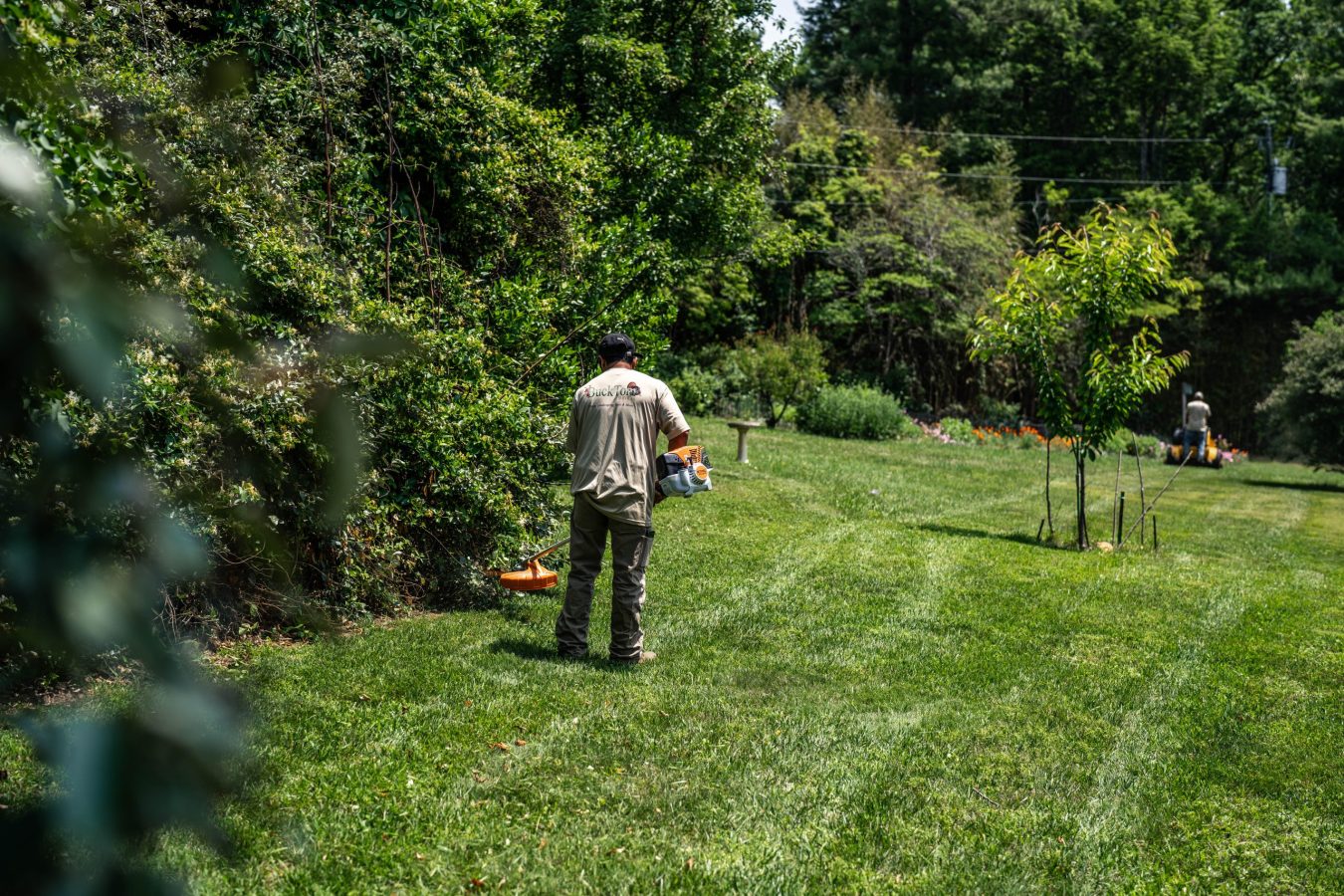 the-old-axe-stuck-in-a-stump-2023-11-27-04-51-05-utc Man with trimmer landscaping lush green garden